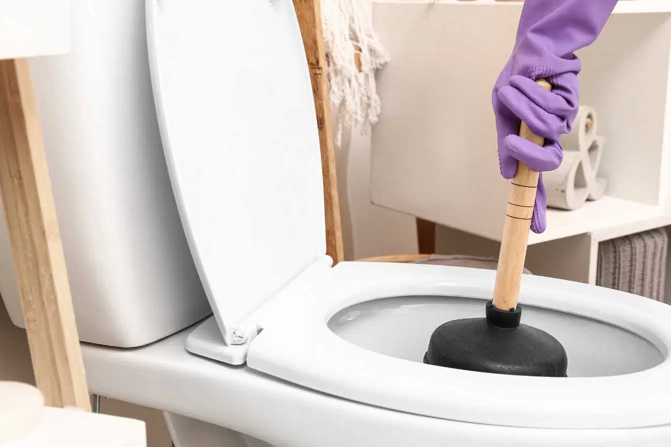 comment deboucher des toilettes 1