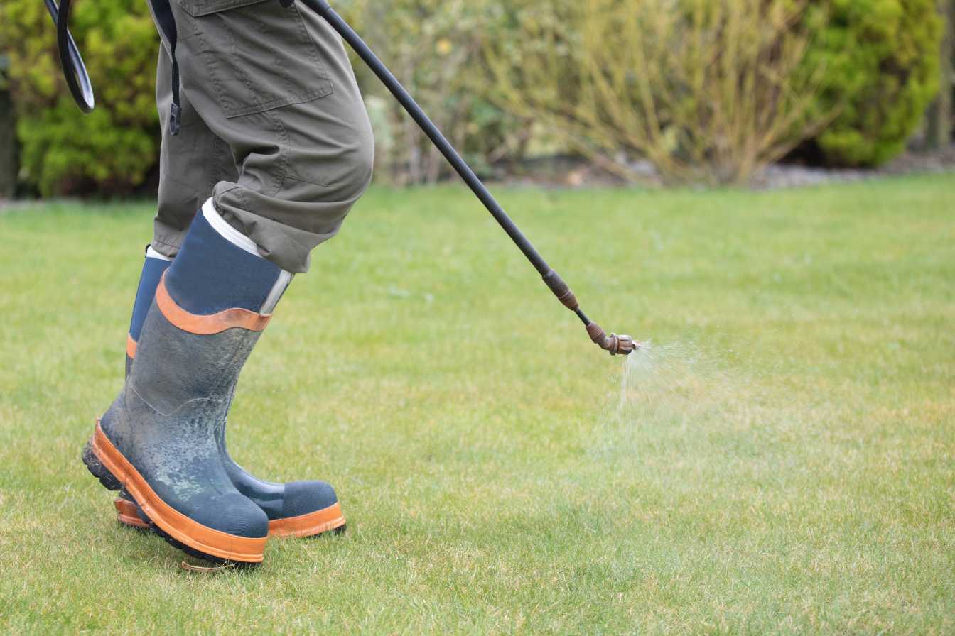 desherbant selectif gazon interdit 1