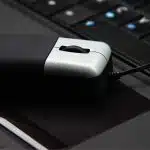 mulot ou souris differences 1