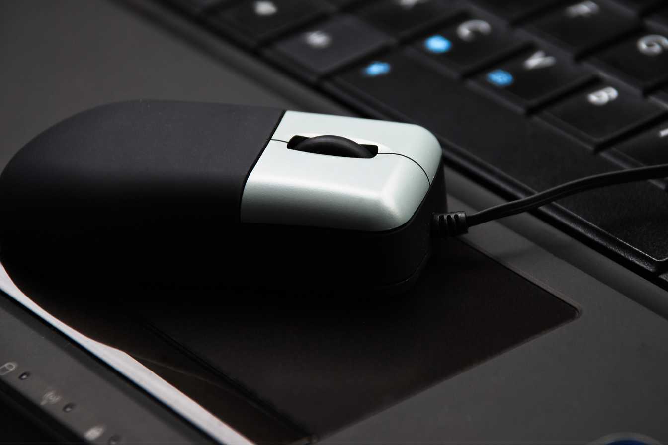 mulot ou souris differences 1