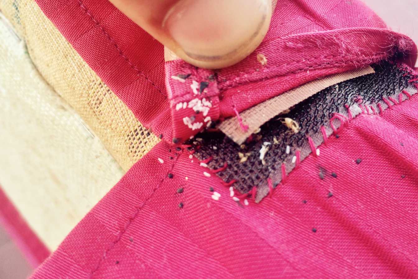 oeuf punaise de lit 1