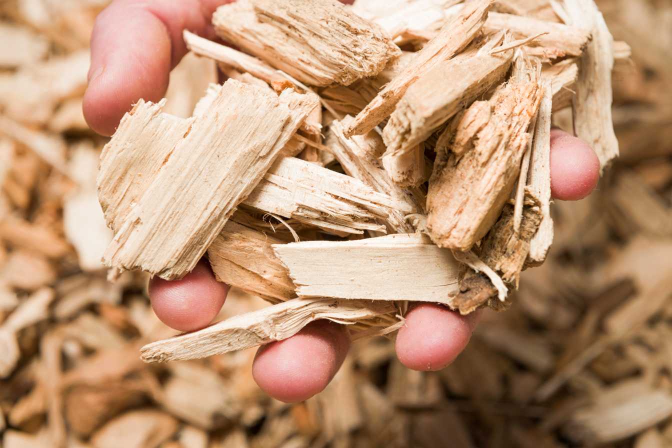 ou trouver des copeaux de bois gratuit 1