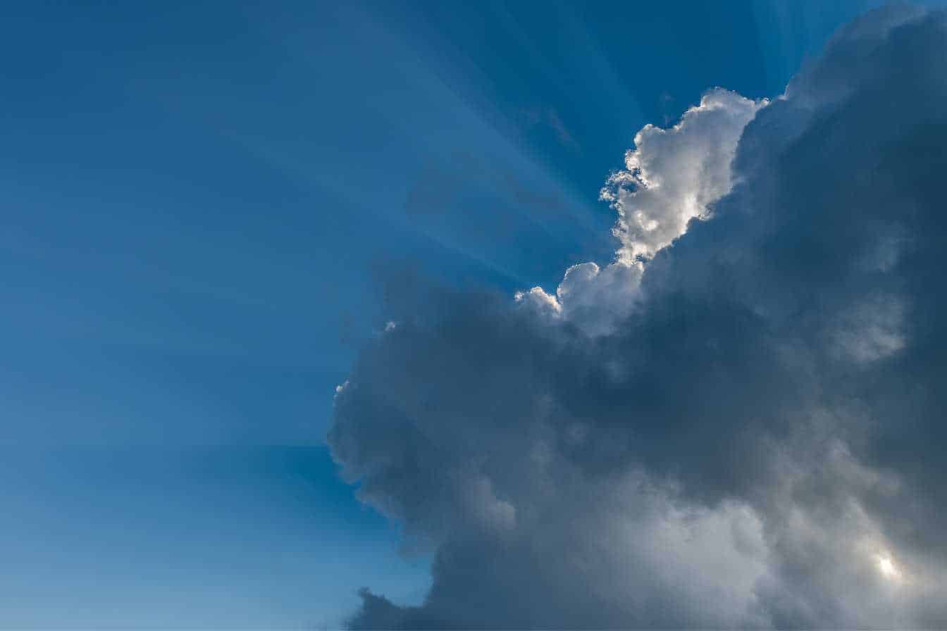 signes-presence-araignee-3