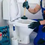 toilettes bouchees produit 1