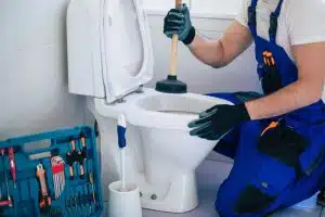 toilettes bouchees produit 1