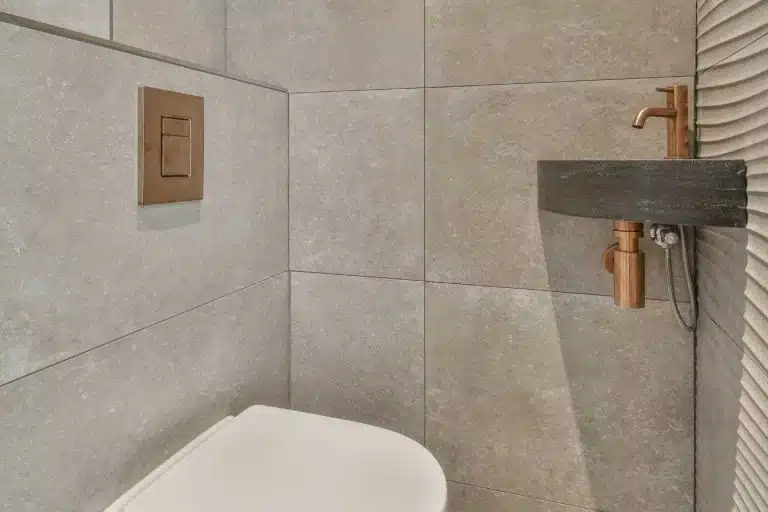 wc suspendu 1